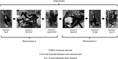 Effects of one long vs. two short resistance training sessions on training volume and affective responses in resistance-trained women